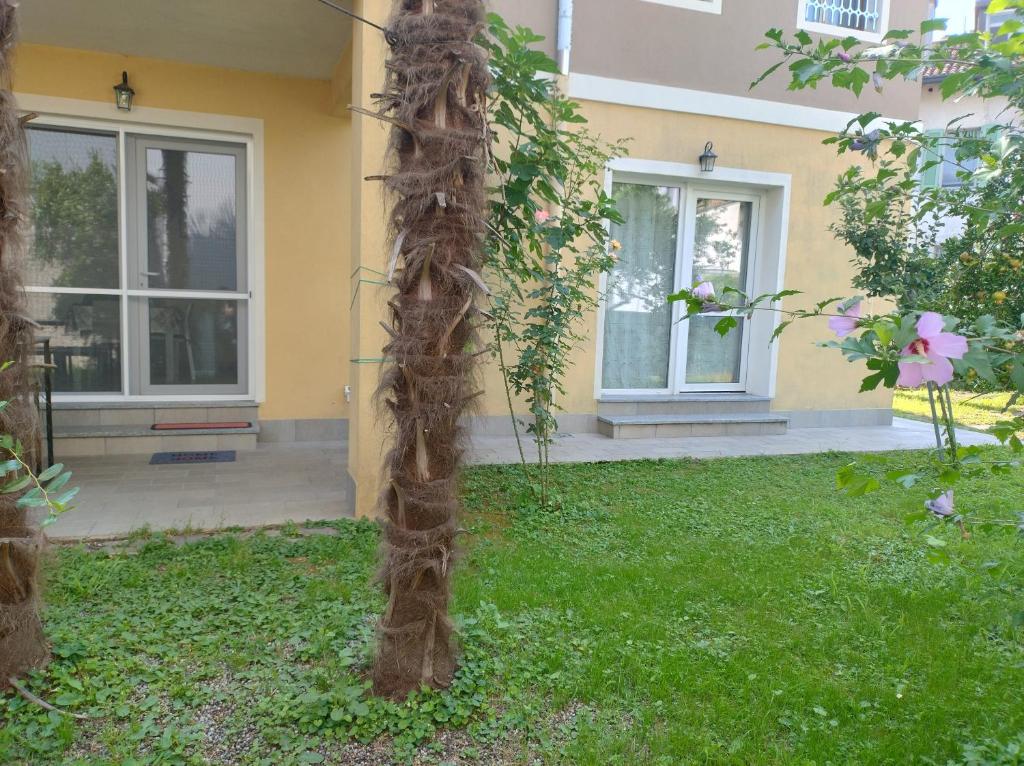 Zahrada ubytování Grace's house