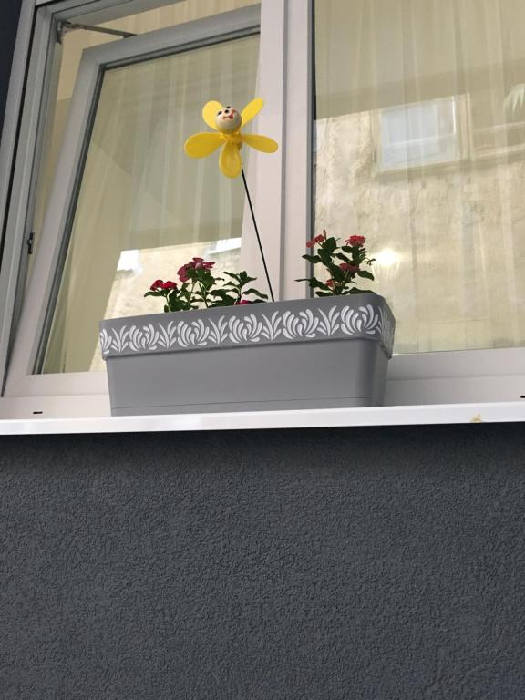 Fotografie z fotogalerie ubytování LARA v destinaci Sarajevo