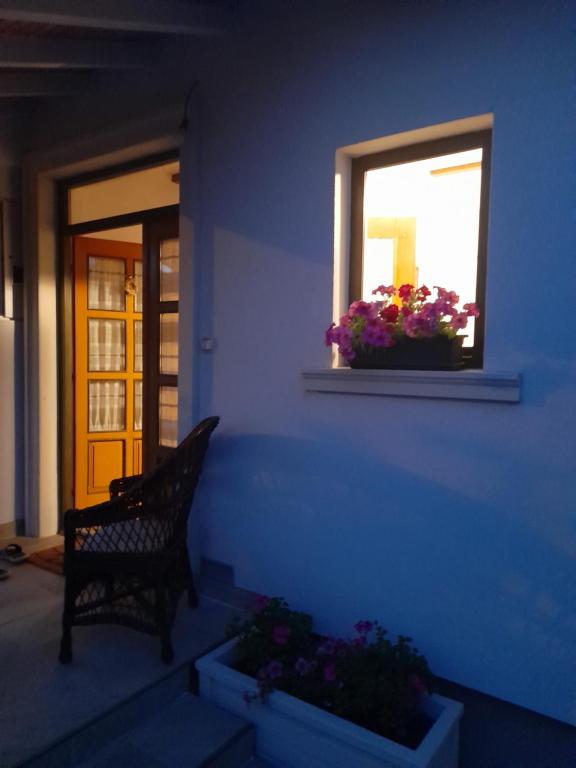 Fotografie z fotogalerie ubytování Bajka v destinaci Valjevo