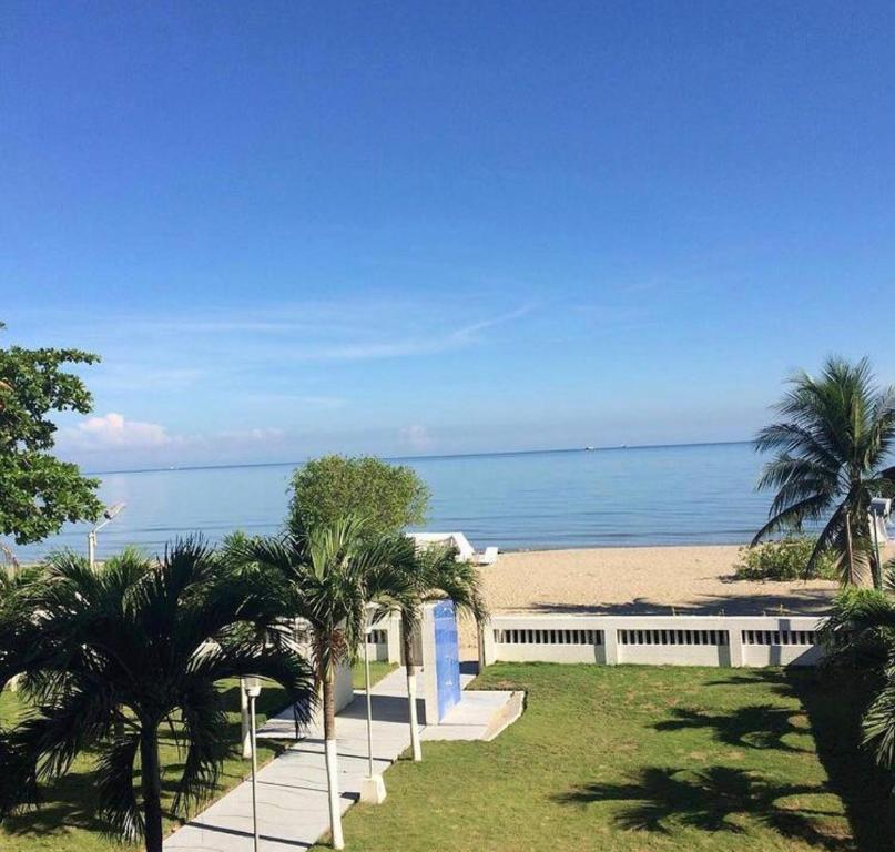 uma vista para uma praia com palmeiras e para o oceano em APARTAMENTO FRENTE A LA PLAYA EN COVEÑAS em Coveñas