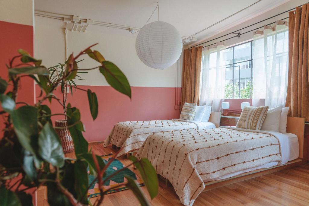 a bedroom with two beds and a potted plant at Hotel San Fernando in Mexico City