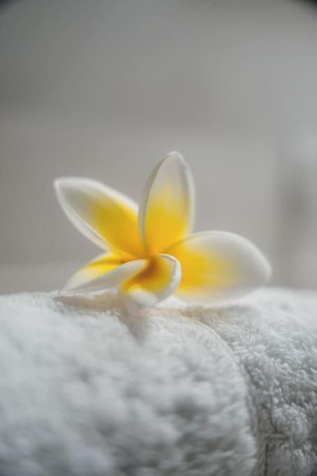 Iasmos Luxury Apartment - 16