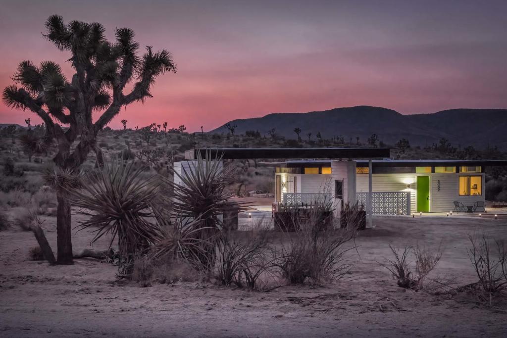 una casa en el desierto con una palmera en Desert Diamond- Joshua Tree Cowboy Pool and Spa, en Yucca Valley