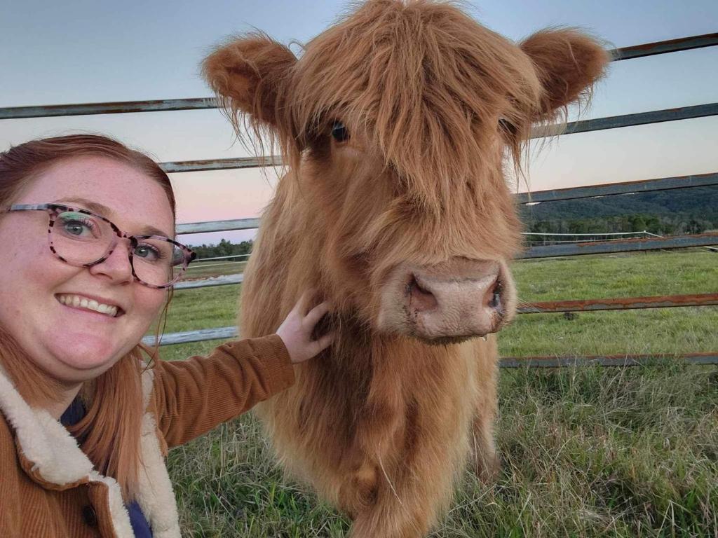 Zvířata v prázdninového domu nebo okolí