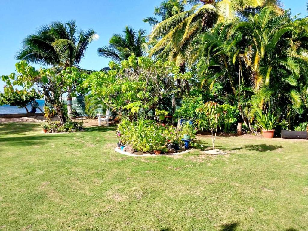 Zahrada ubytování MOOREA - Fare Nihei