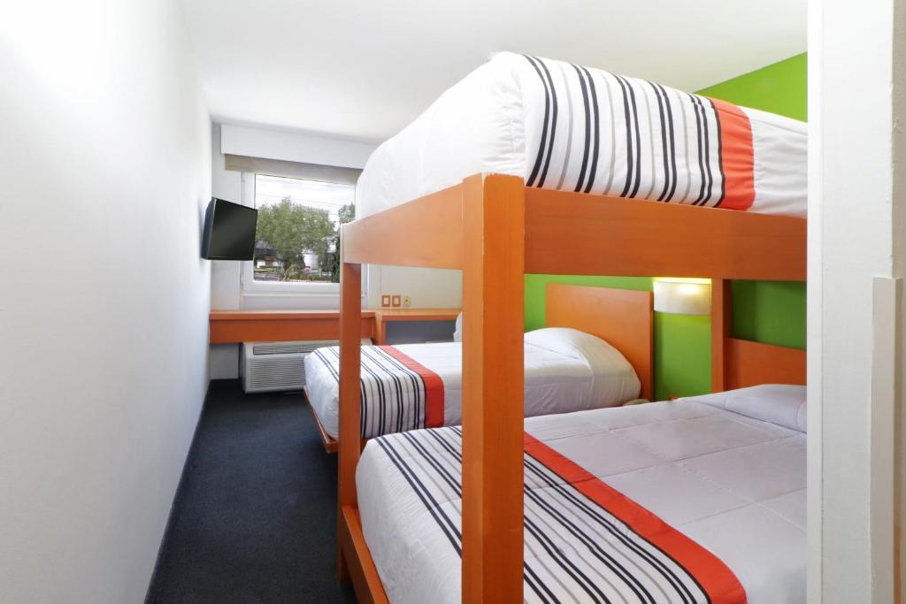 City Express Junior by Marriott Toluca Aeropuerto - Habitación Familiar