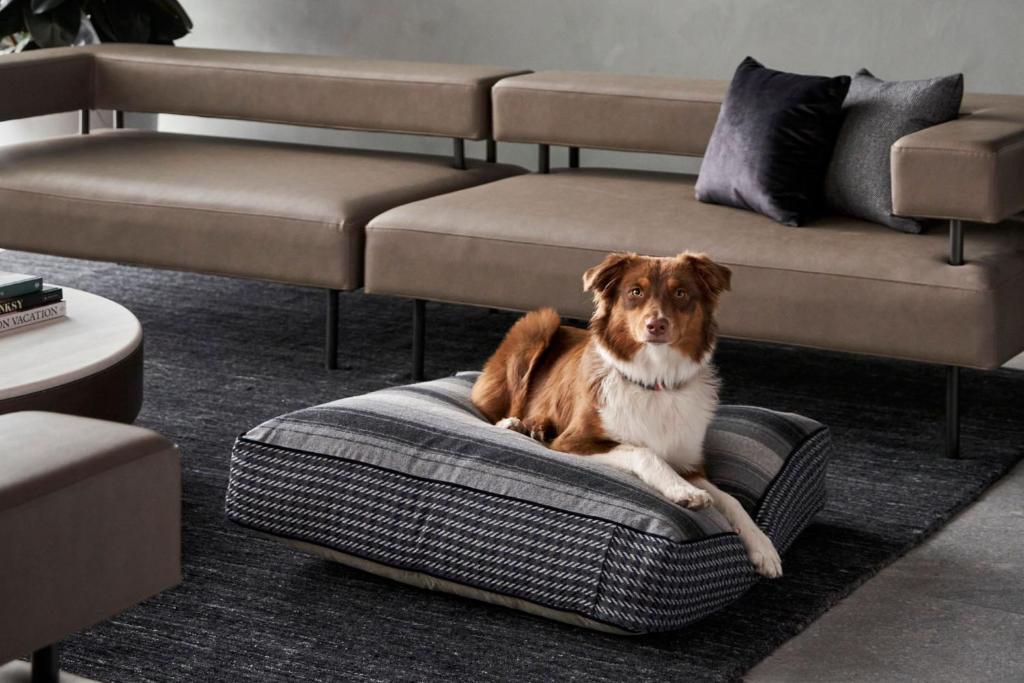 AC Hotel by Marriott Melbourne Southbank - Resim 34