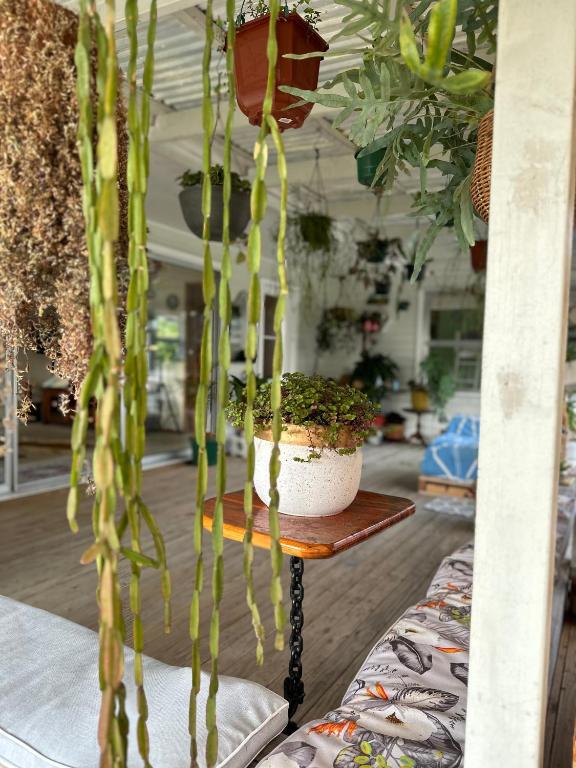 Lucky house - Resim 14