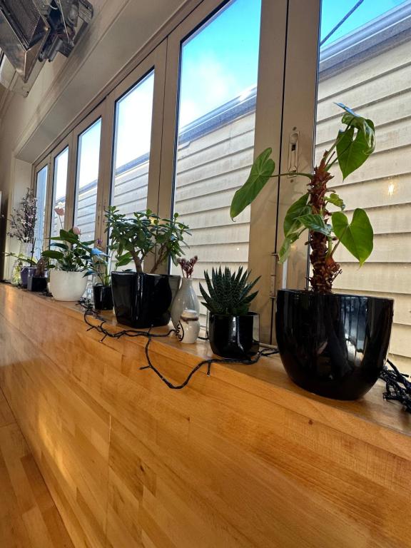 Lucky house - Resim 22