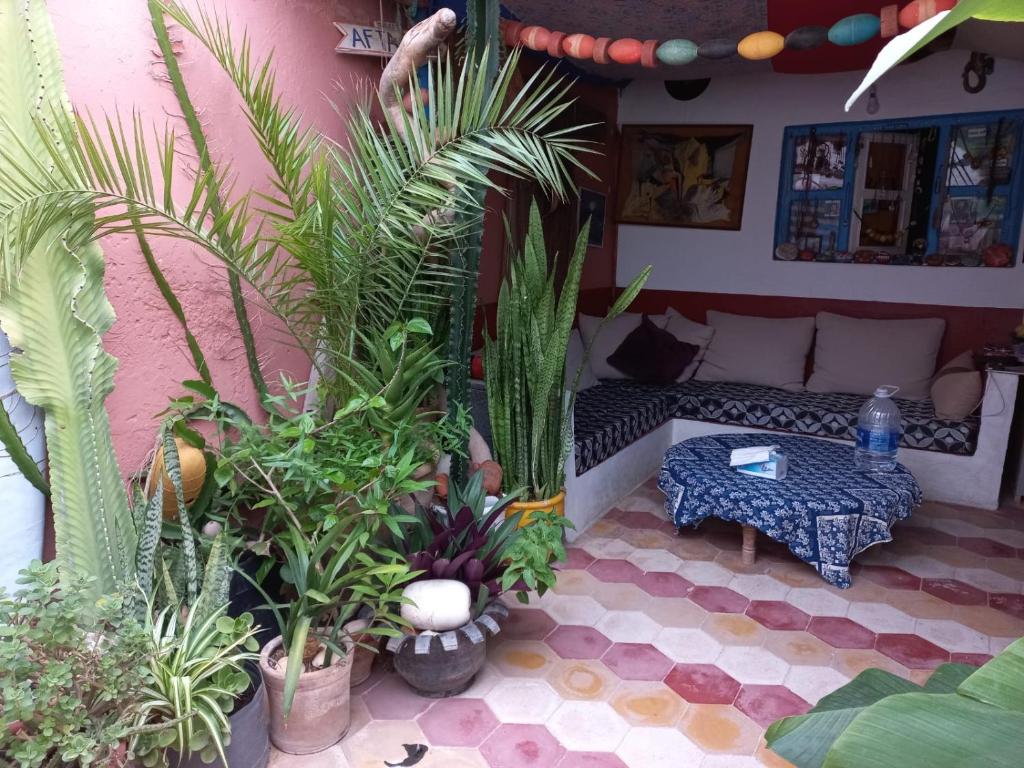 una sala de estar llena de muchas plantas en Kasba de l'artiste, en Mirleft