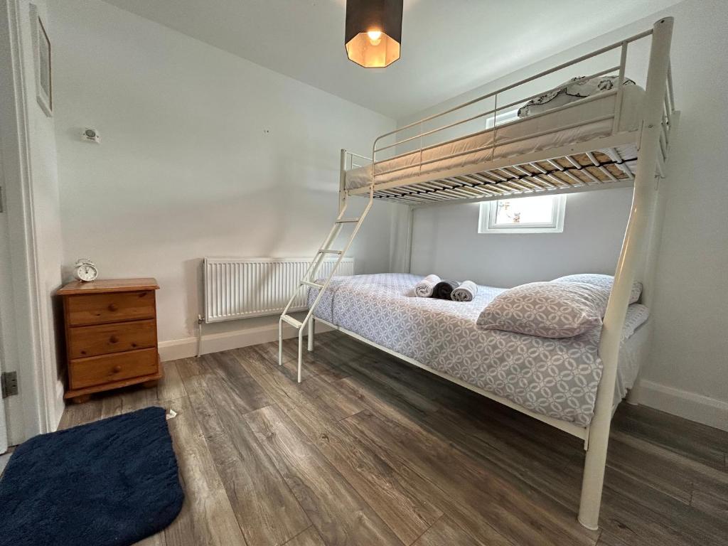 a bedroom with a bunk bed with a ladder at Ocean View Apartment - Connemara in Galway
