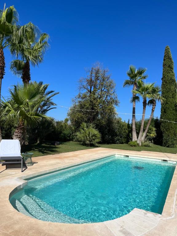 een zwembad in een tuin met palmbomen bij Floresia-Your Apulian Experience in Conversano