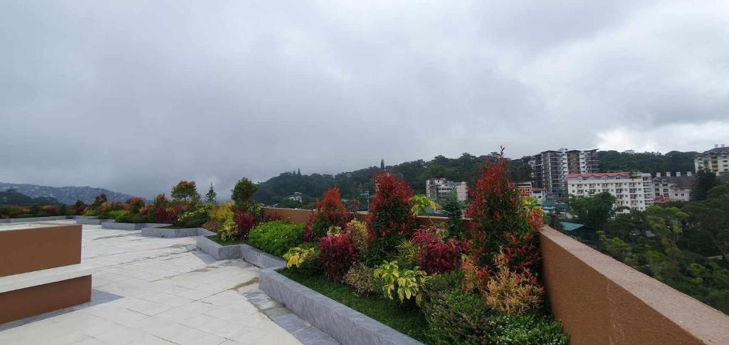 a row of plants on top of a building at JCGA Apartments at Megatower Residences IV - Near SM & Session Rd in Baguio