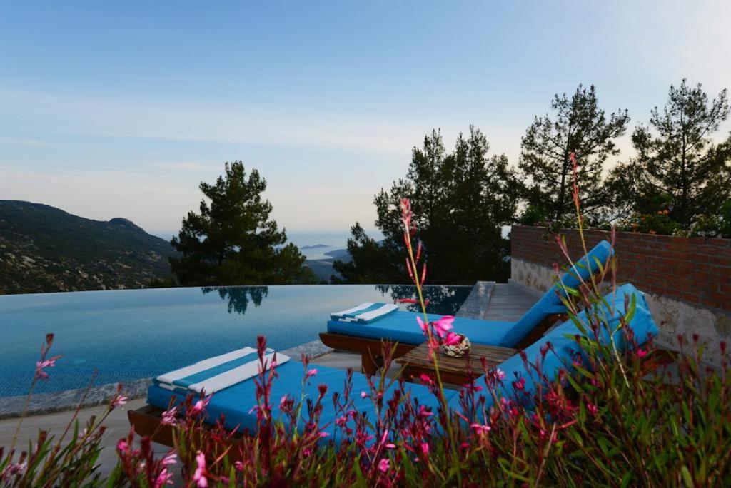 een zwembad met twee blauwe ligstoelen naast het water bij Eco Villa TUTKUM in Kalkan