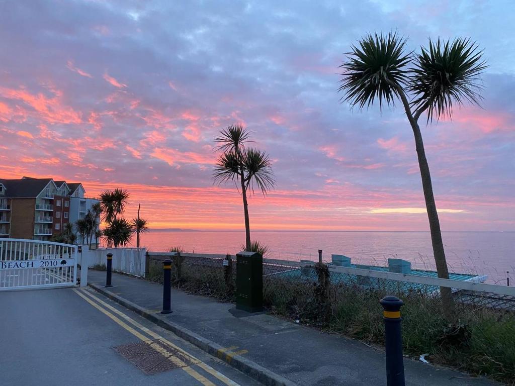 dos palmeras en una acera cerca del océano al atardecer en Seaside, en Bournemouth