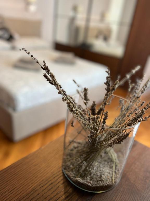 Residence Montanelli - Resim 33