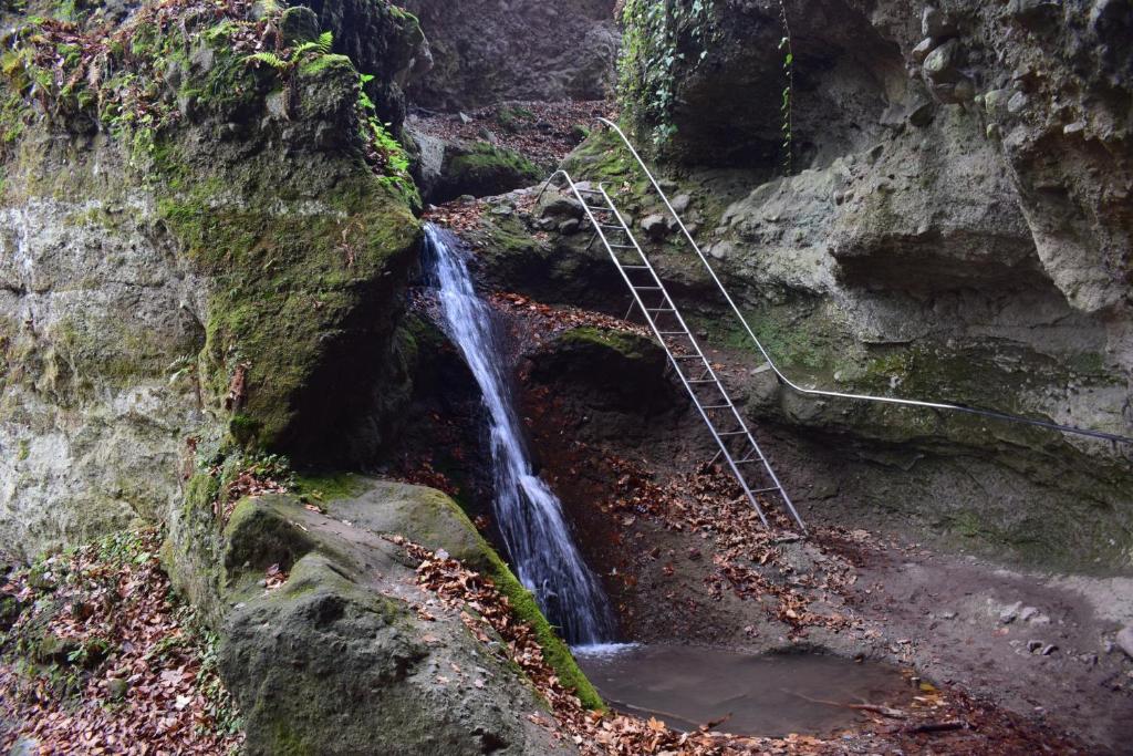 Příroda nedaleko apartmánu