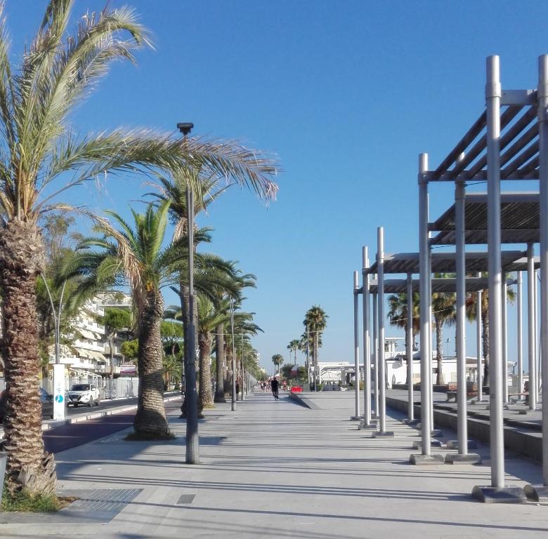 a boardwalk with palm trees on a beach at A 2 passi dal blu in Roseto degli Abruzzi