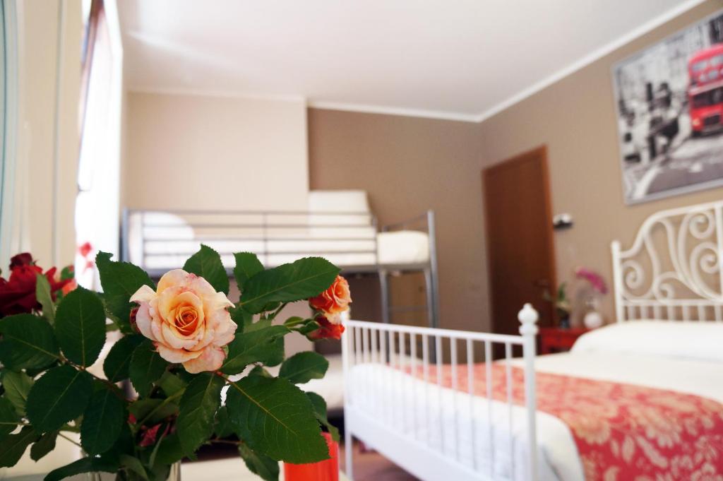 Alexander Rooms - 12