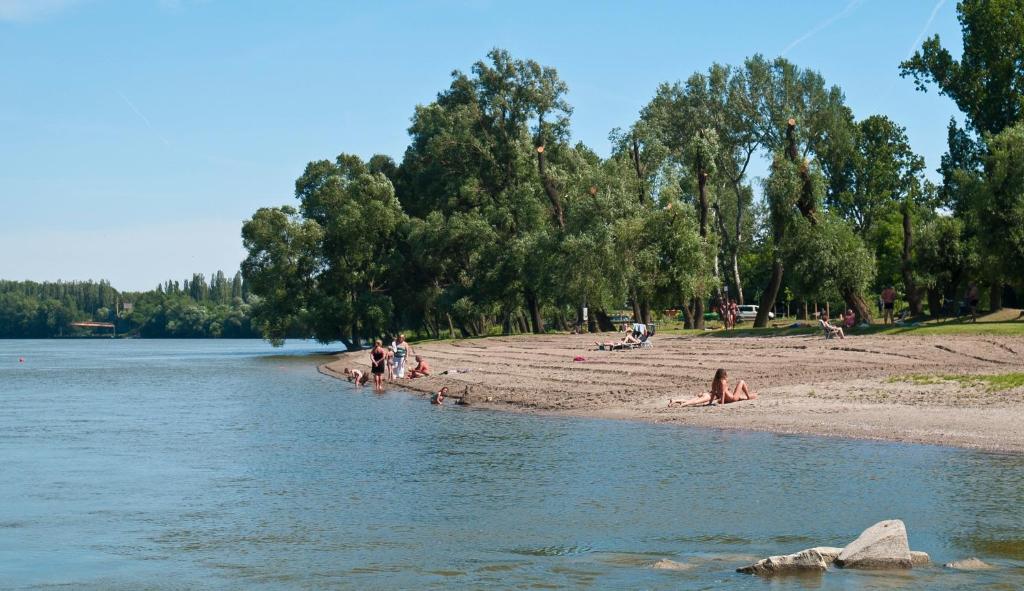 Příroda nedaleko apartmánu