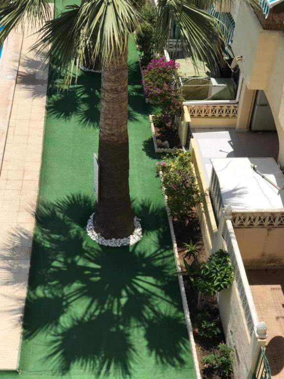 A garden outside Apartment Santana -19 at Beach with Pool, Garage and Lift