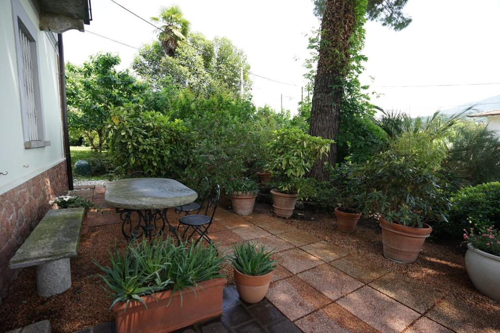 un patio con tavolo e un mucchio di piante in vaso di Villa Helma Lago Maggiore a Caravate