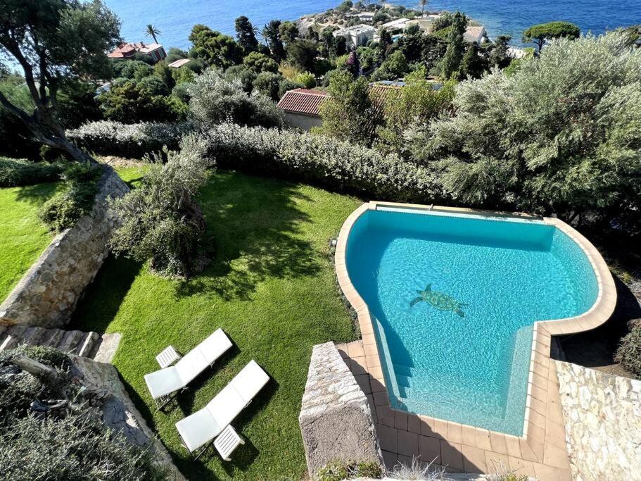 - une vue sur la piscine dans la cour dans l'établissement Completely renovated villa, à Cap d'Ail