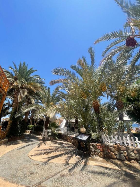 Zahrada ubytování Lidia Dahab Hotel and Restaurant