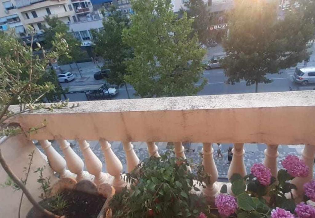 Megan Apartament - Image 8