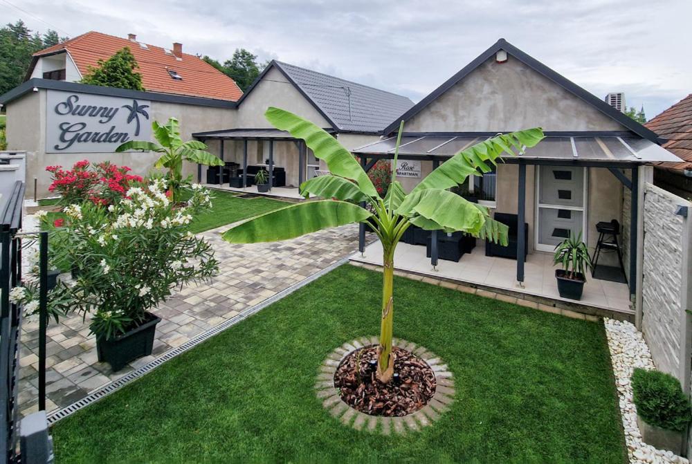 a palm tree in a yard in front of a house at Sunny Garden Apartment in Bogács