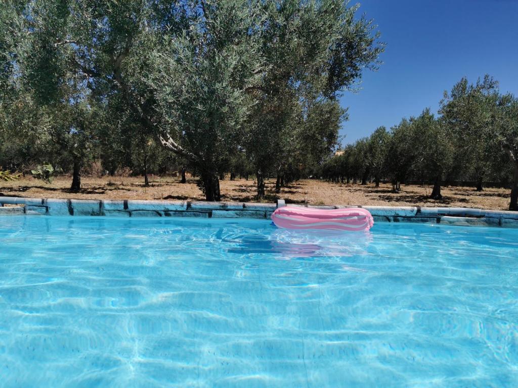 een roze praalwagen in een zwembad van blauw water bij La Rosa Rossa in Sciacca