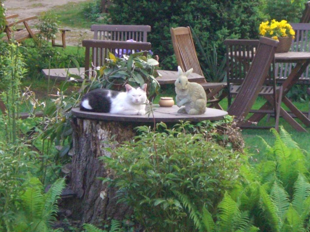 two cats sitting on top of a tree stump at Spreewaldpension Beesk in Raddusch
