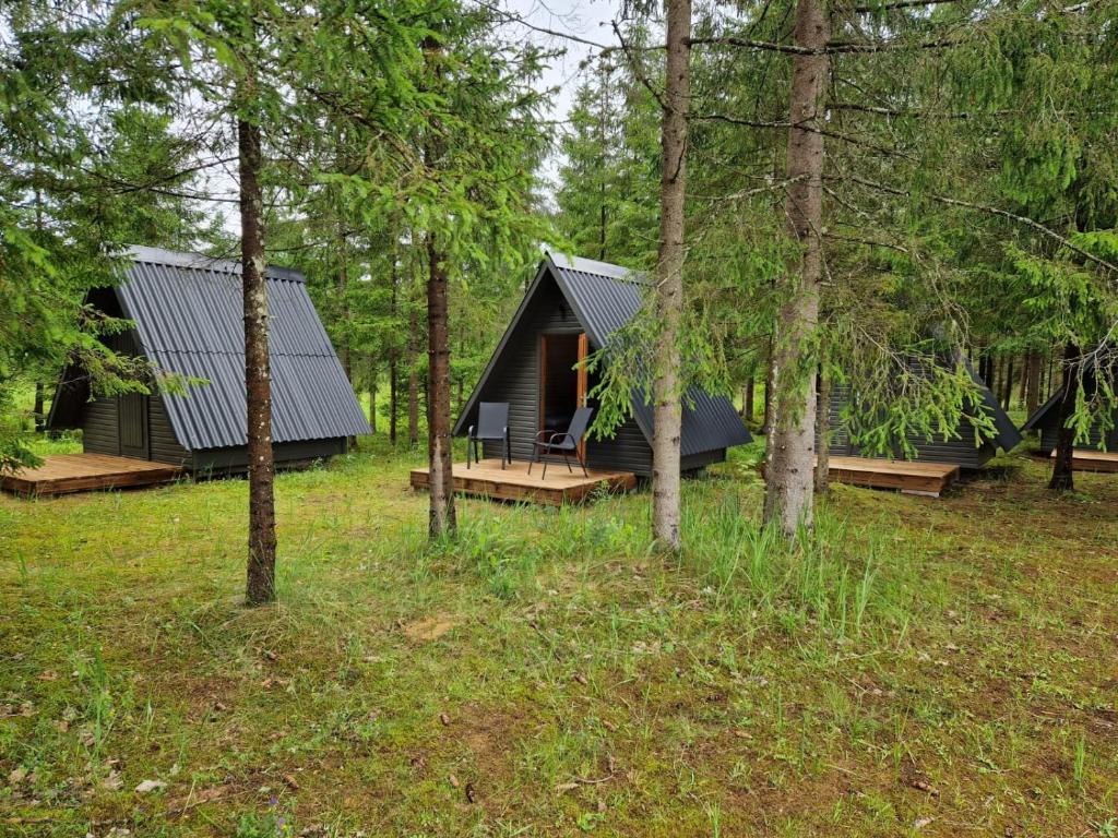 a black cabin in the woods with trees at Liivakõrtsi kämping in Rõmeda
