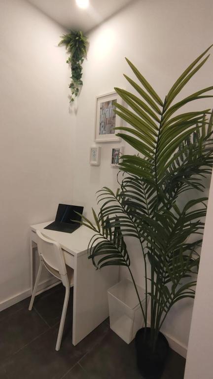 Small and Cozy Rooms - G10 - Queen Studio