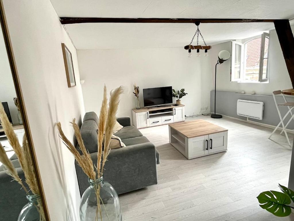 a living room with a couch and a tv at Appartement calme, plein-centre de Douai in Douai