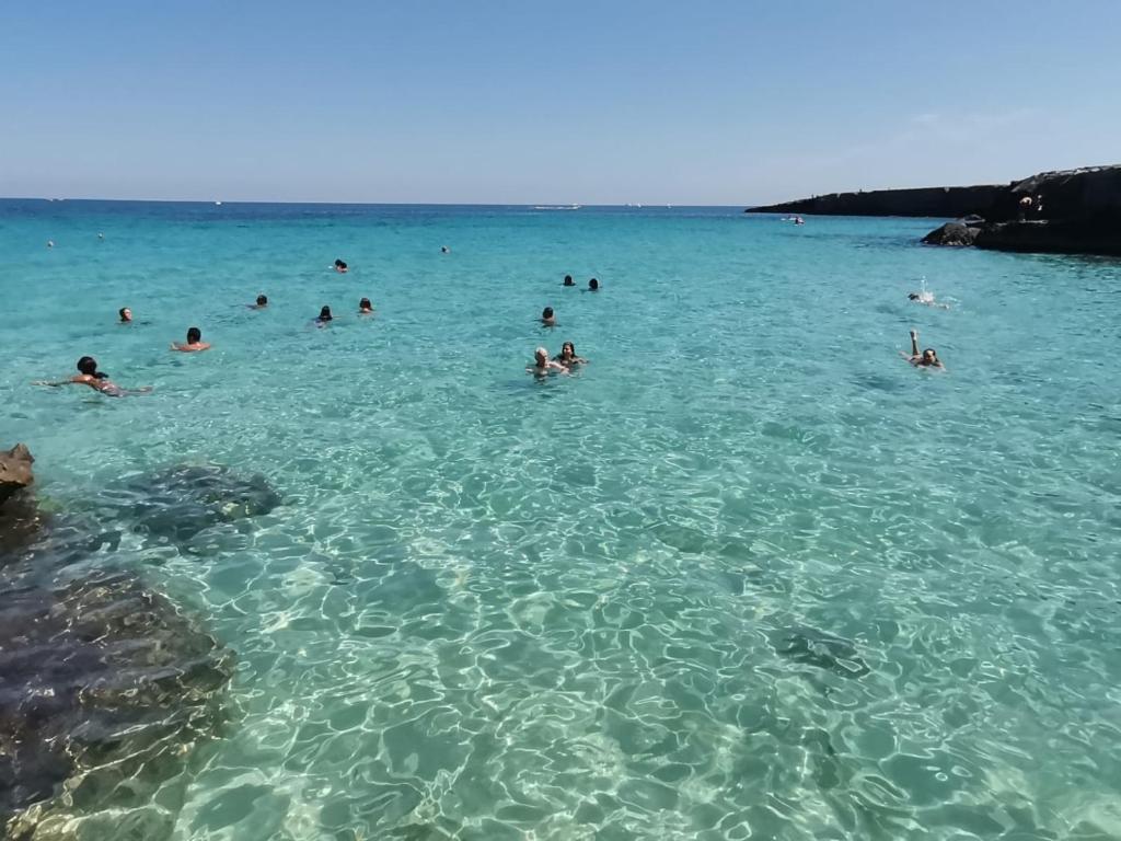 eine Gruppe von Menschen, die im Meer schwimmen in der Unterkunft Casa Levante a 75 mt dalla spiaggia in Monopoli