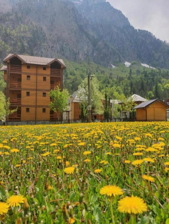Residence: Quku i Valbones