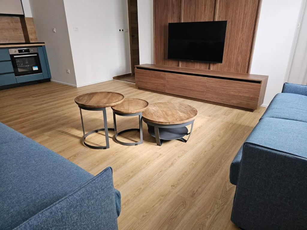 TV a/nebo společenská místnost v ubytování Pine Kolasin