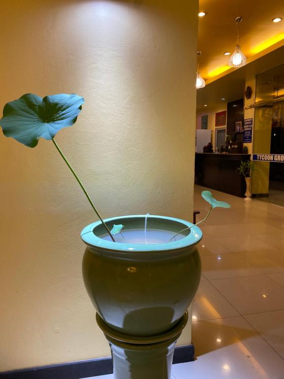 Tycoon place garden - Resim 32