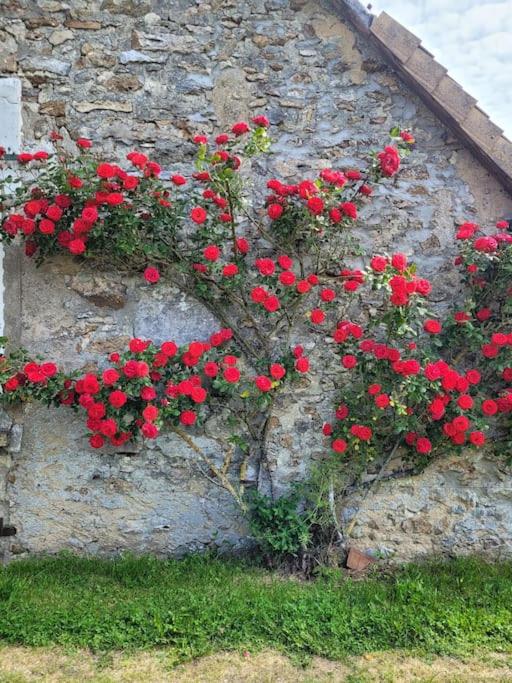 a bush of red flowers on a stone wall at L&#39;Echappée d&#39;Aristide - proche Giverny &amp; 50 min Paris in Houlbec-Cocherel