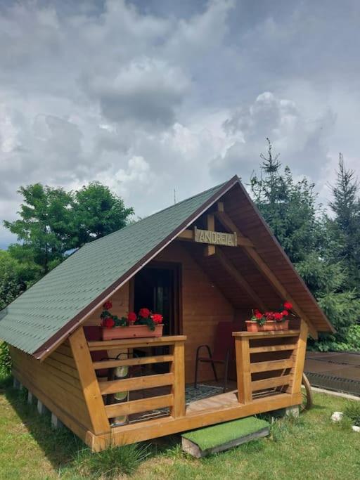 a small wooden cabin with two flower pots on it at Căbănuță la Munte cu Piscină in Bistra