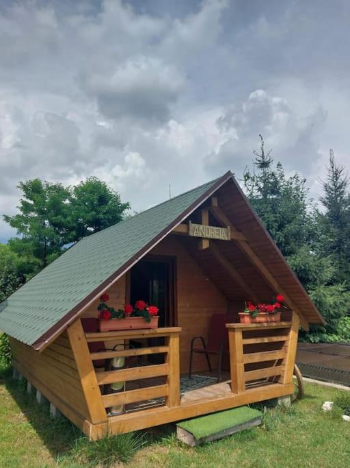 BistraCazare la Munte cu Piscină的小屋内有两盆花