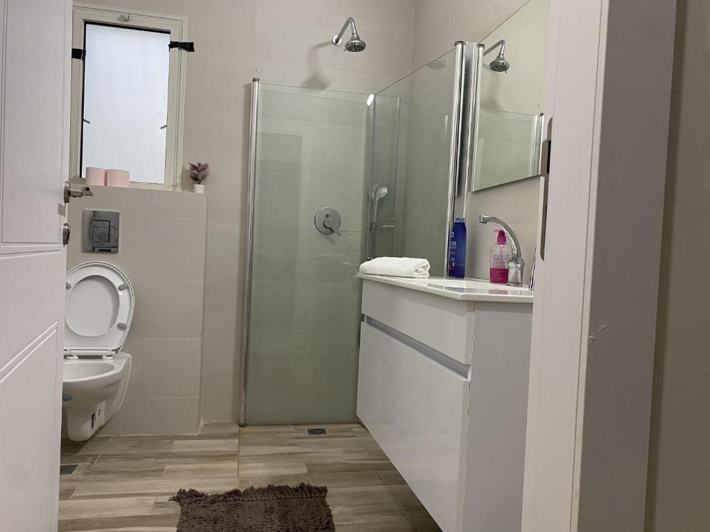un bagno con doccia, WC e lavandino di וילת הנחלה למשפחות Nahala Villa a Shadmot Devora