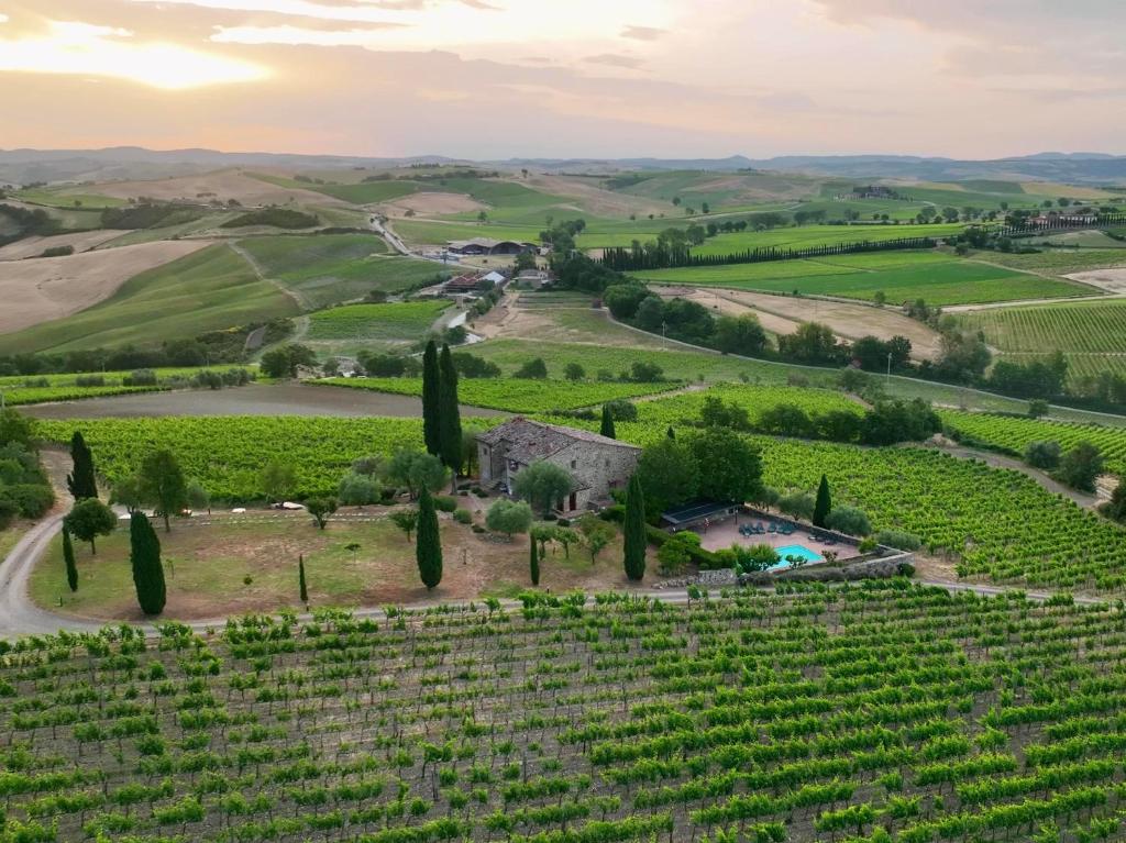 Agriturismo Podere La Casa في مونتالشينو: اطلالة جوية على مزارع العنب مع منزل في وسط الميدان