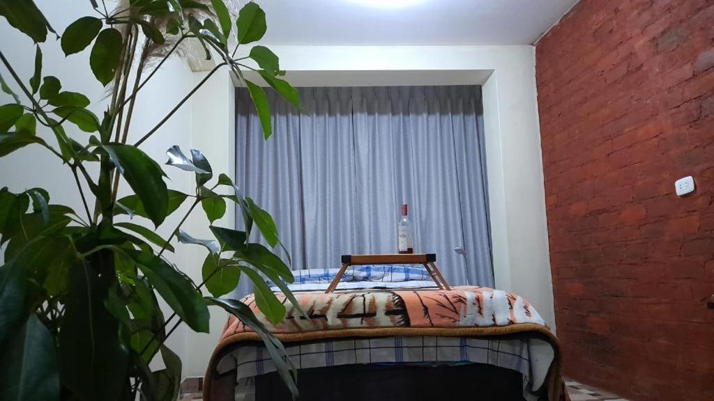 a bedroom with a bed and a plant in front of a window at Inka Home - Ayacucho in Ayacucho