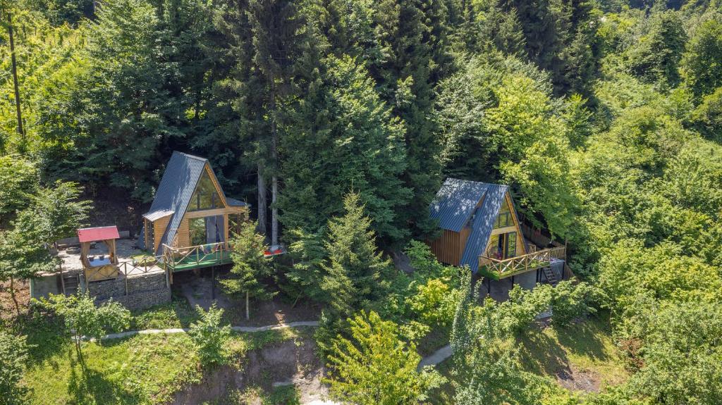 eine Luftansicht eines Hauses im Wald in der Unterkunft Forest House in Dandalo