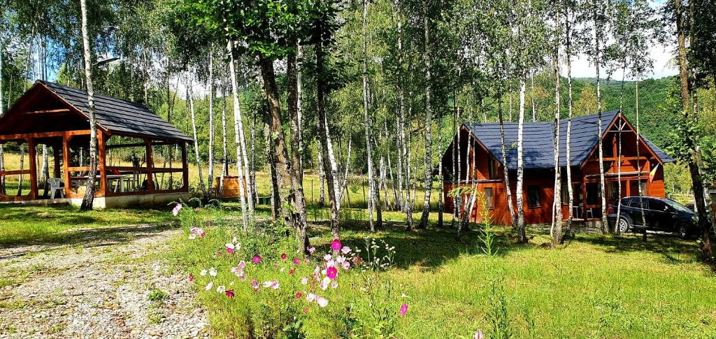 eine Holzhütte mit einem davor geparkt in der Unterkunft Cabana cu Mesteceni in Sighetu Marmaţiei
