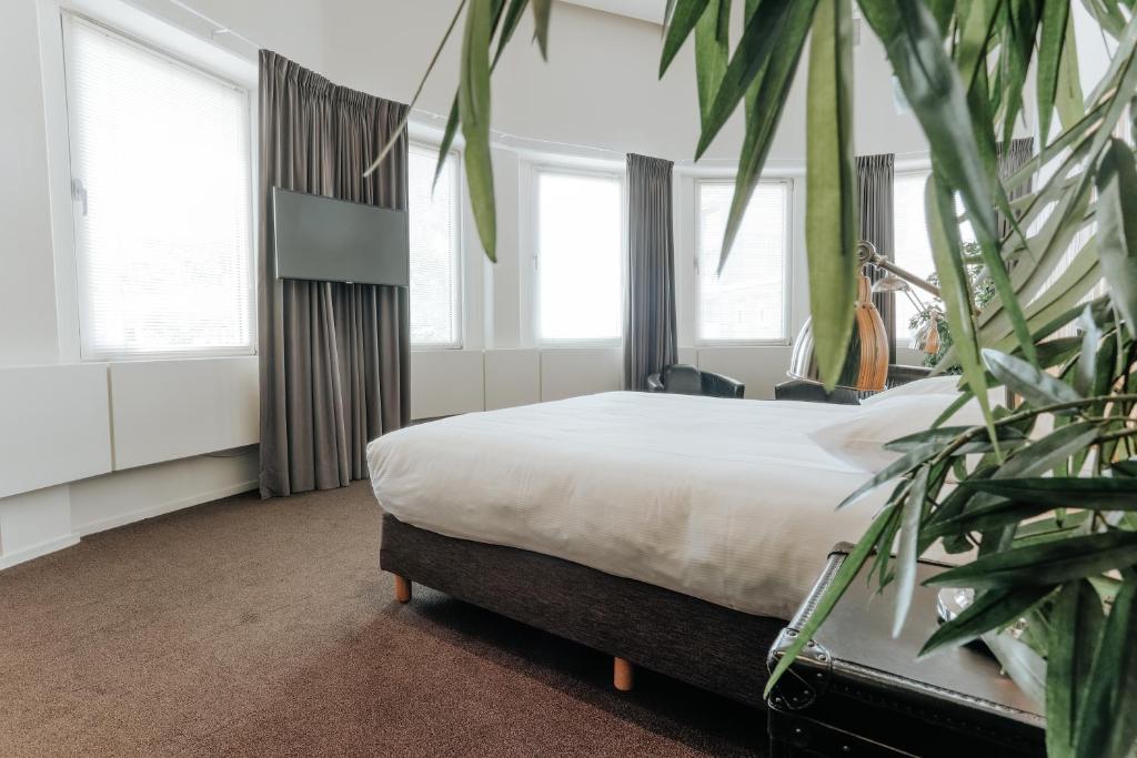 Queen Hotel - Resim 28