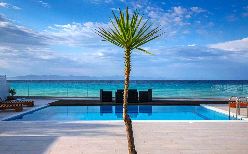 a palm tree next to a swimming pool with the ocean at Vaso Beach Front Villa in Ialyssos