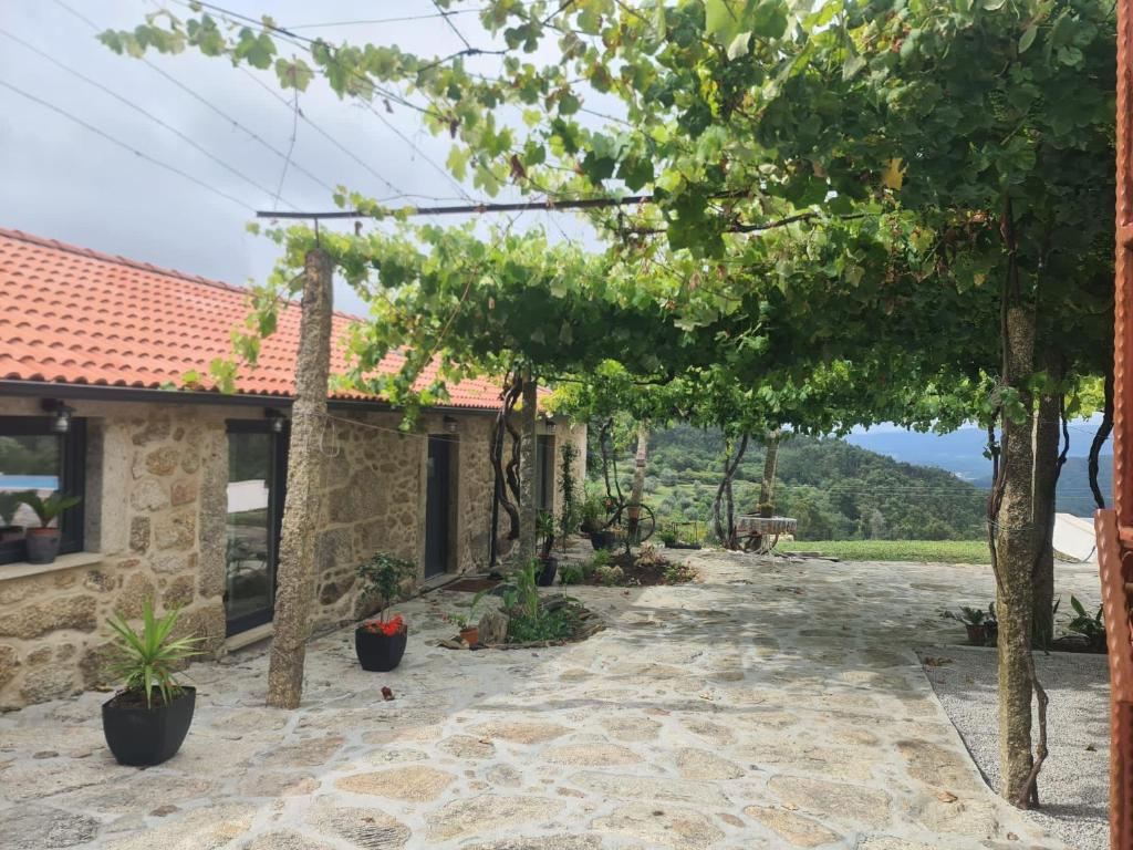 un patio de una casa con árboles en A CASINHA DO CARREIRAS, en Barroselas